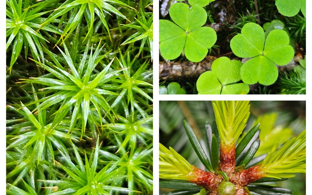 Hochsensibel – warum drückst du dir diesen Stempel auf?